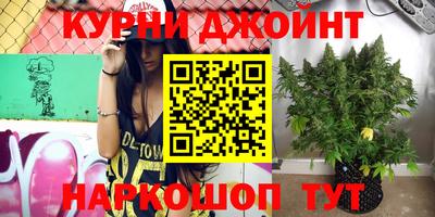 spice Рязань